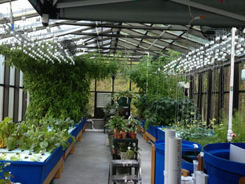 Aquaponic Systems | Nelson &amp; Pade, Inc.