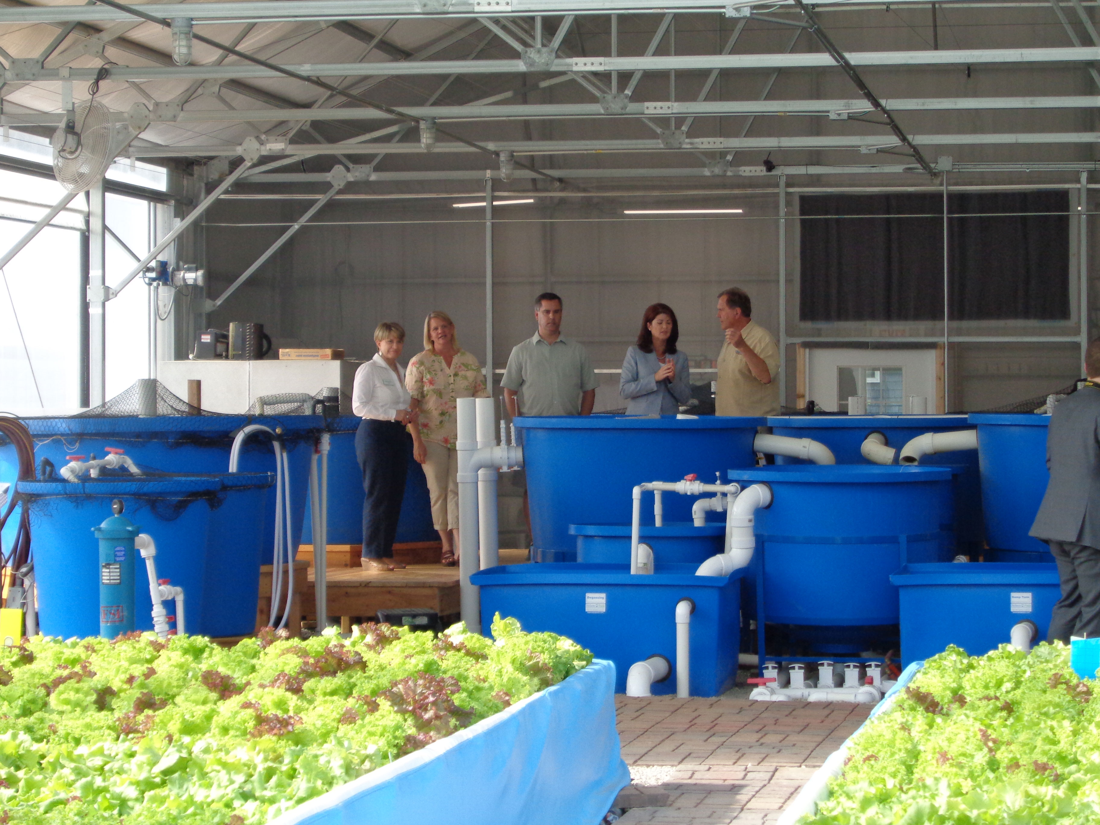 Opportunities in Aquaponics | Nelson &amp; Pade, Inc.