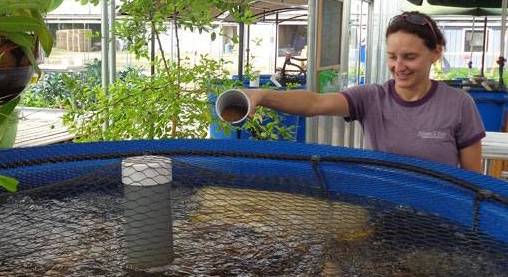 Aquaponic Growing Supplies