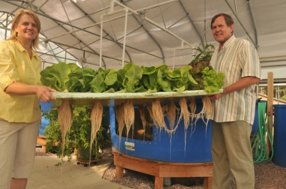 Aquaponics system books WGAL 8 Brain Busters 2021, episode 2: Cedar Cliff vs. Hershey