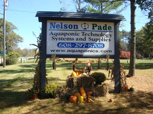 Nelson-and-Pade-sign