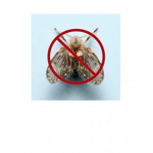 Aquabac XT - Controls Mosquito Larvae and Black Fly Larvae