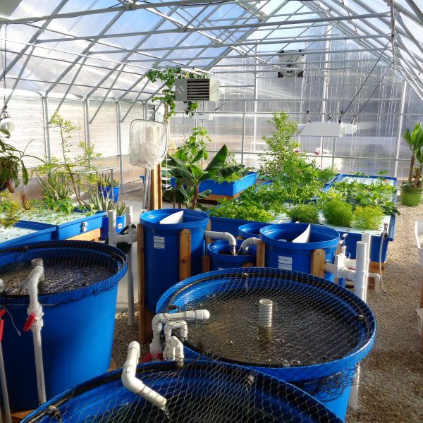 Shop Aquaponic Supplies Online - Largest Selection for Aquaponics