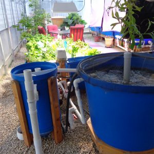 Clear Flow Aquaponics Systems from Nelson and Pade, Inc. Home ...