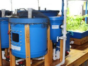 Clear Flow Aquaponics Systems From Nelson And Pade, Inc. Home 