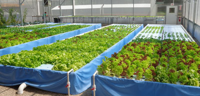 Aquaponics.com Offers World’s Largest Selection for Aquaponics