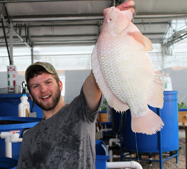 DR. GREEN, Farmers best friend Plants And Fish In Aquaponics