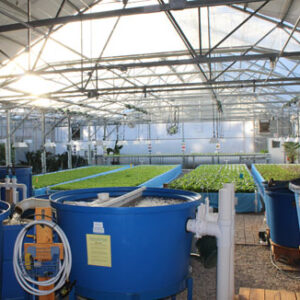 Greenhouses and Indoor Farming Online Course