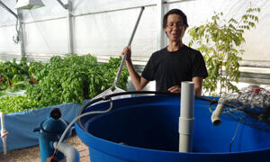 Aquaponics System Assembly: In-Person Course