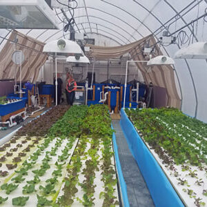 MicroFarms from Nelson and Pade