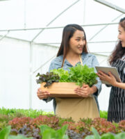 What You Will Learn from the Aquaponics Courses Offered by Nelson and Pade