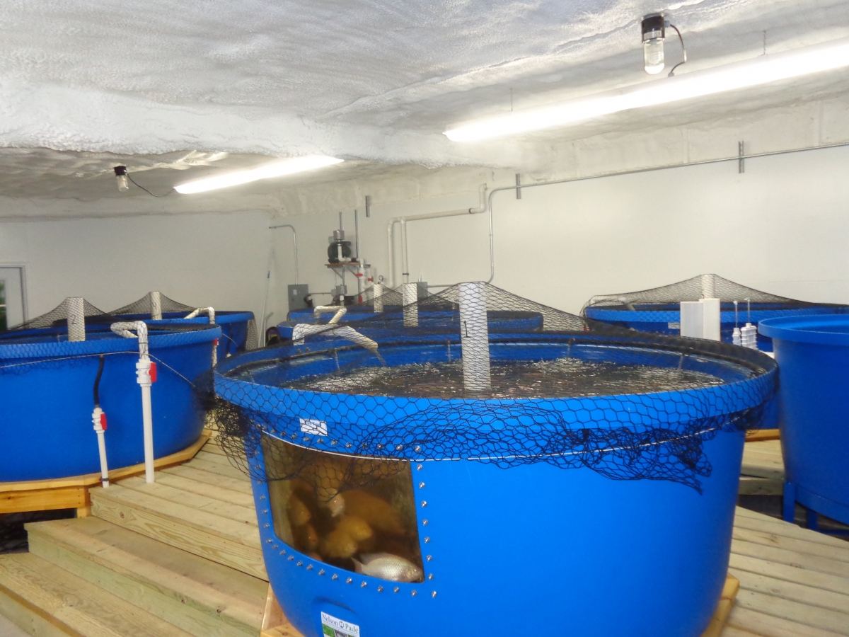 Commercial Aquaponic Systems from Nelson and Pade. Earn ...