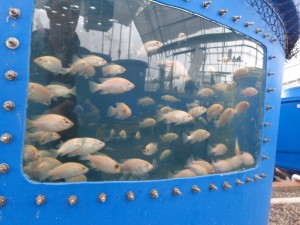 DSC00224