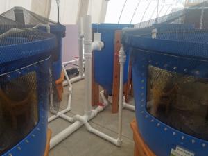 Aquaponic MicroFarm 2 c