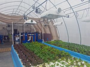 Aquaponic MicroFarm 2 d