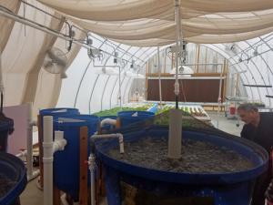 Aquaponic MicroFarm 2 fish tanks