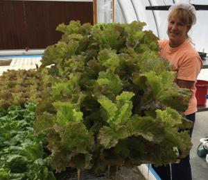 Aquaponic MicroFarm 2 harvest a