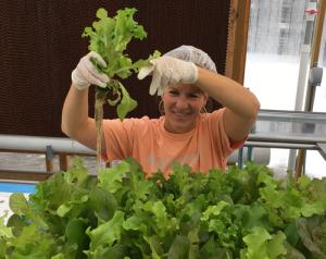 Aquaponic MicroFarm 2 harvest b