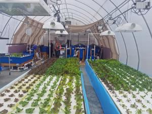 Aquaponic MicroFarm 2 lettuce rafts