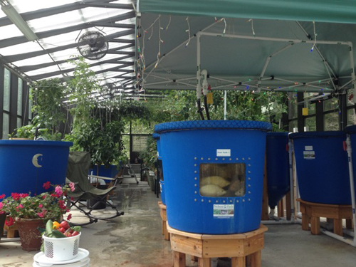 Aquaponic MicroFarm from Nelson and Pade. Get started in ...