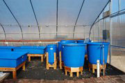 Family-plus-at-Dible-Diversified Farm         